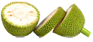 A jackfruit gyümölcs kitűnően használható vegán húshelyettesítő
